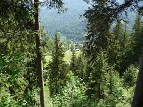 View from nearby hill