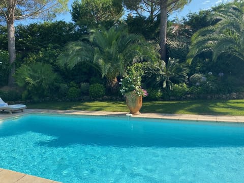 Pool surrounded by lush landscape