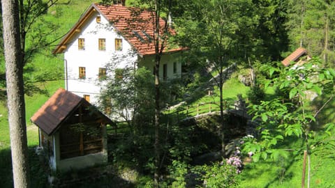 The house stands in the tranquility of the forest