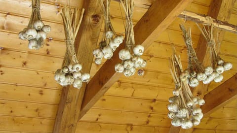 Garlic (home production)