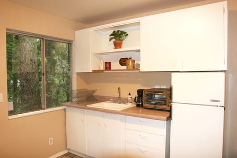Darling kitchenette equipped with fridge, large toaster oven, coffee pot...
