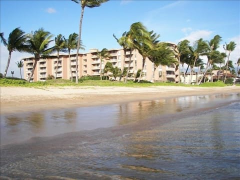 On the beach, sun loungers