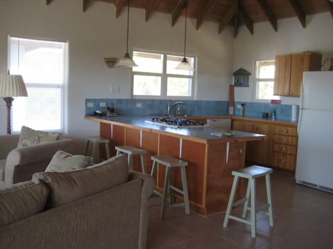 The Kitchen and main living space.