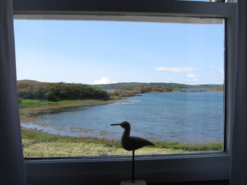 Looking out of the bedroom window