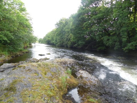 River Towy Llandovery