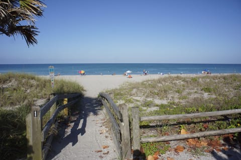 Beach nearby, sun loungers