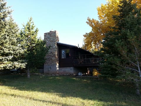 Cabin, north side