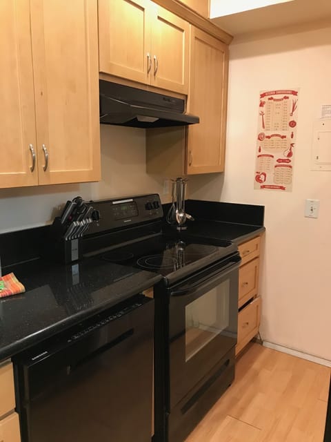 Modern easy to clean stove and the silent dishwasher