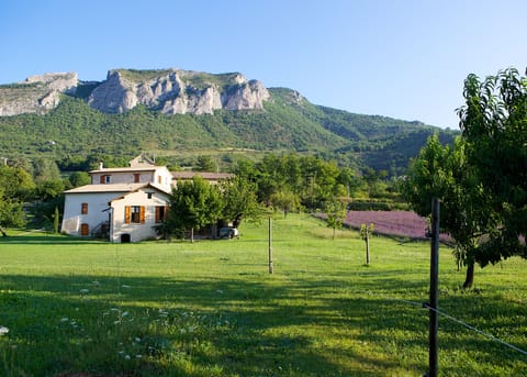 The mill with it's lavender field and the famous cliffs of Oprierre