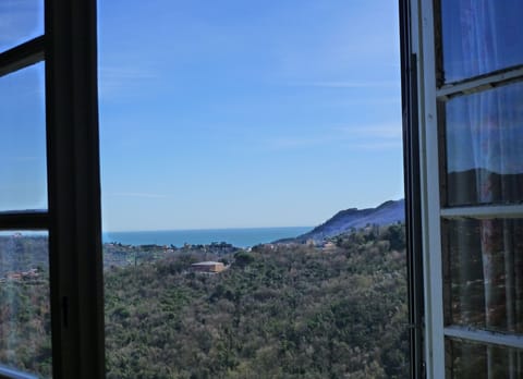 View from the blue bedroom