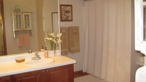 Eco-friendly toiletries, hair dryer, towels, soap
