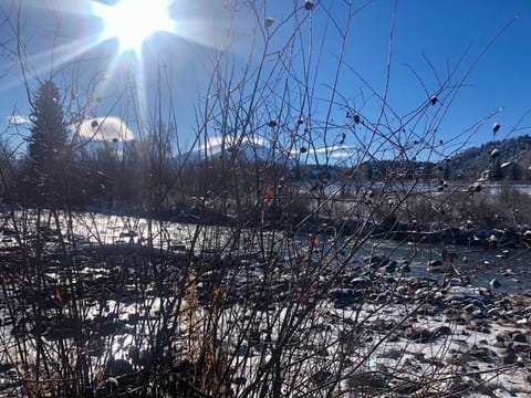 Winter views from river path south of the house