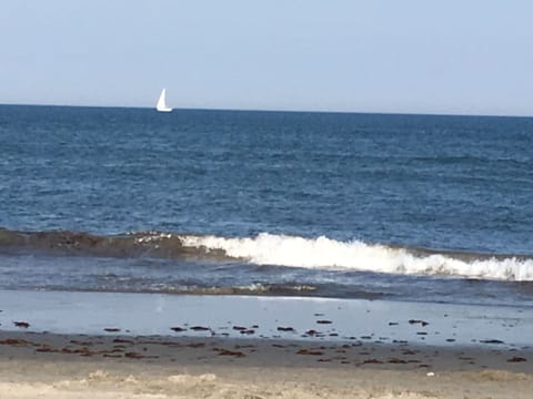 Beach nearby, sun loungers, beach towels