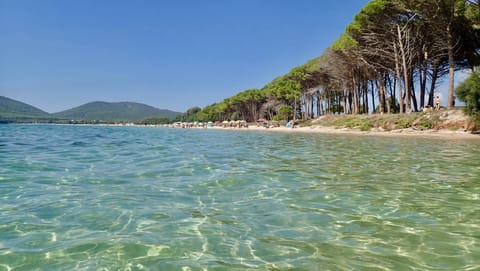 On the beach