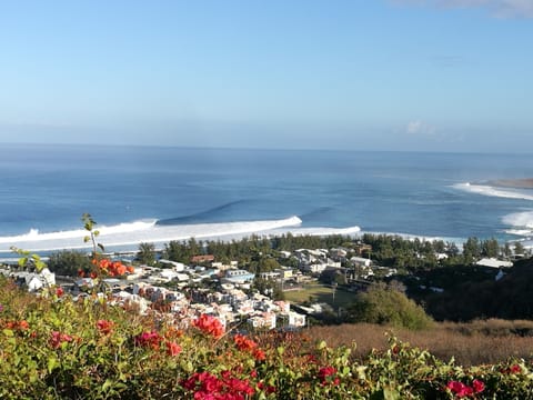 Beach/ocean view