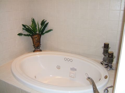 Combined shower/tub, jetted tub, hair dryer, soap