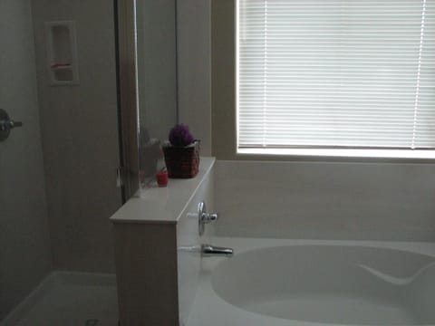 Combined shower/tub, hair dryer, towels, soap