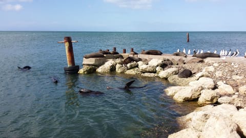 Beach nearby