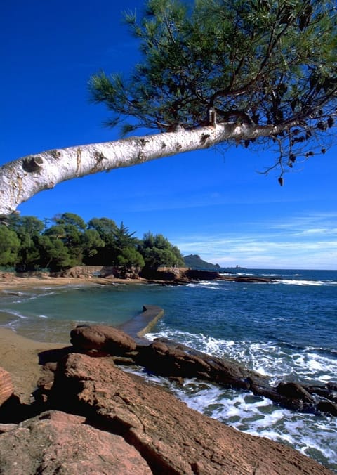 Beach nearby, sun loungers