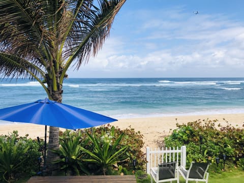 On the beach, sun loungers, beach towels