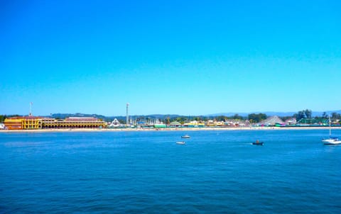 Walk to Santa Cruz Beach Boardwalk 