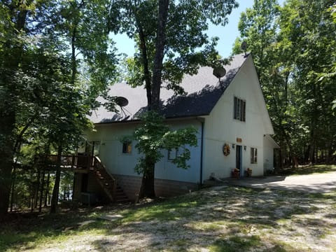 Secluded Setting with Lots of Deer