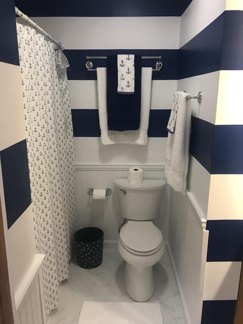 Combined shower/tub, hair dryer