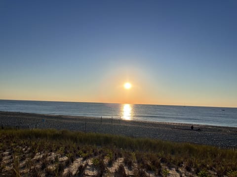 Beach nearby, sun loungers