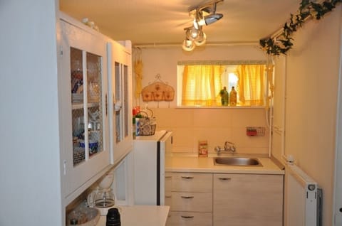 Fridge, stovetop, cookware/dishes/utensils