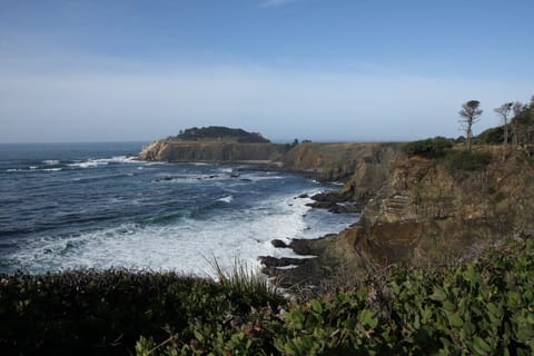 Cove View from the point