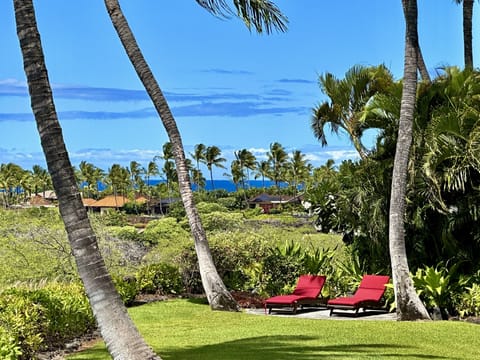 1.5 acre property, expansive lawn, chaise lounge, ocean view