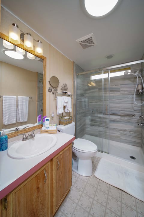 Combined shower/tub, jetted tub, hair dryer, towels