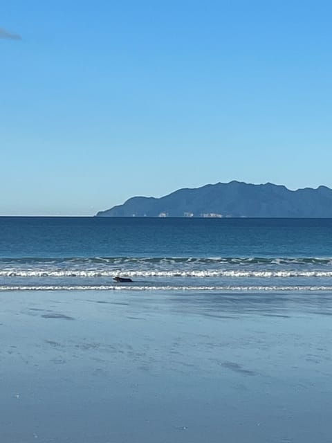 Beach nearby, sun loungers