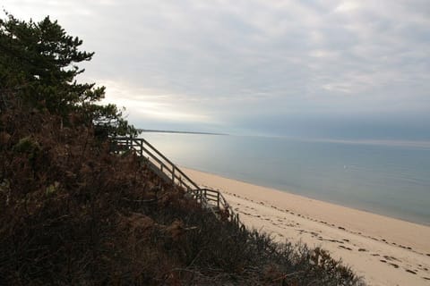 On the beach