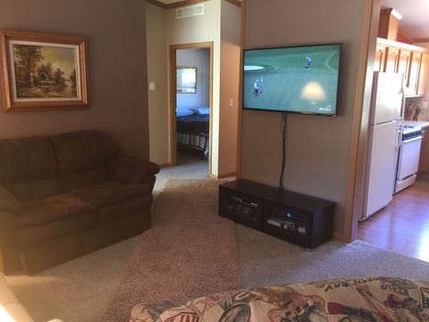 Smart TV, video games, DVD player, video library