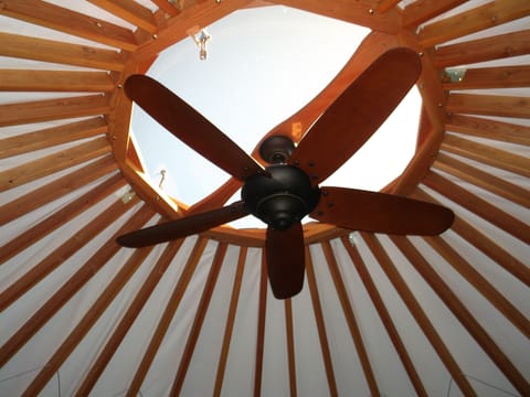 Some skylight with fan 😍