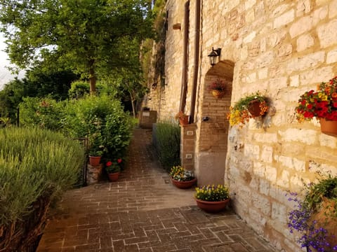 Entrance to unit from garden