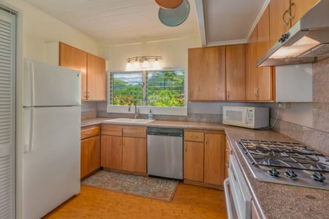 Fridge, oven, stovetop, coffee/tea maker