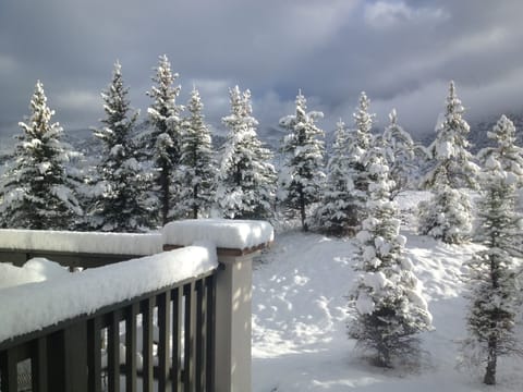 Winter view from master bedroom