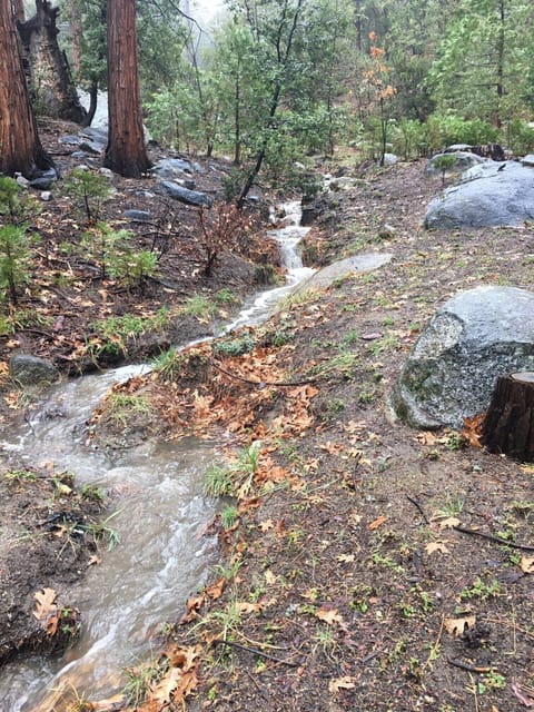 Run off stream on property