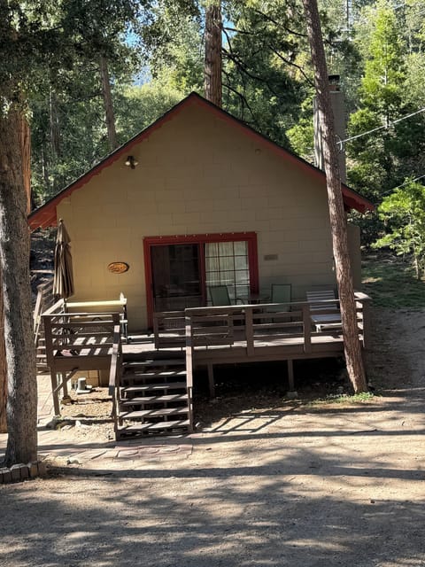 View of the cabin and deck standing in the driveway