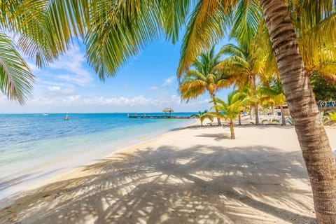 On the beach, sun loungers, beach towels