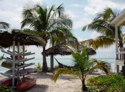 On the beach, sun loungers, beach towels