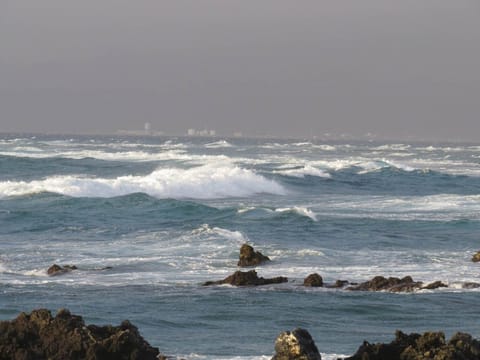 Watching sunsets at Holoholokai Beach Park is a 15 minute walk from the condo