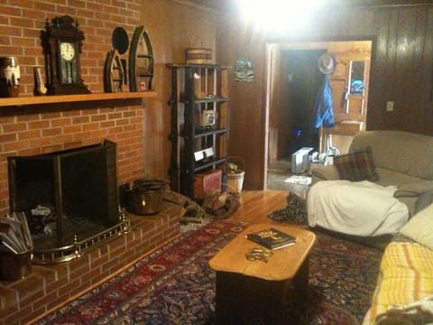 TV, fireplace, DVD player, books