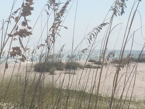 On the beach