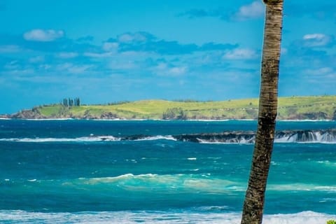 On the beach, sun loungers, beach towels