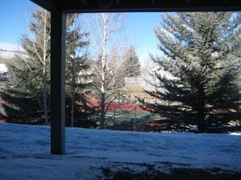 View of Homestead Racquet Club from garden level.