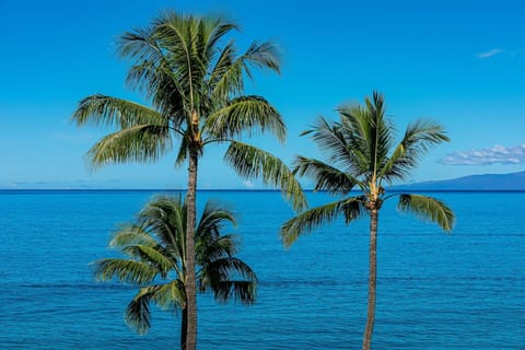 On the beach, sun loungers, beach towels