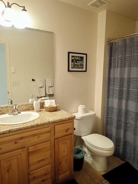 Combined shower/tub, hair dryer, towels, soap